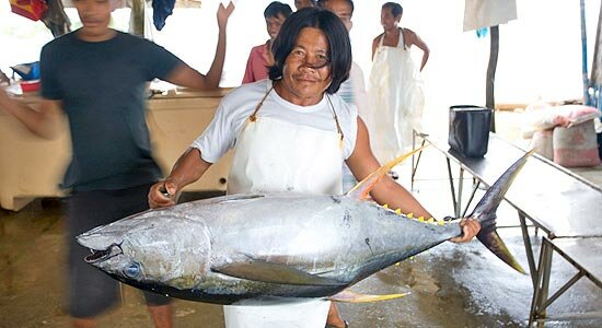 Man holding tuna - The new report underlines that in large swathes of the worlds' fisheries conservation measures are not happening