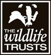 The Wildlife Trust logo