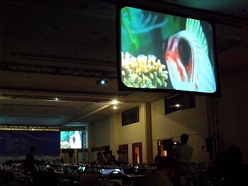 The End of the Line is shown at the International Commission for the Conservation of Atlantic Tunas meeting in Brazil