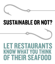 Dear Chef / Restaurant owner seafood response card
